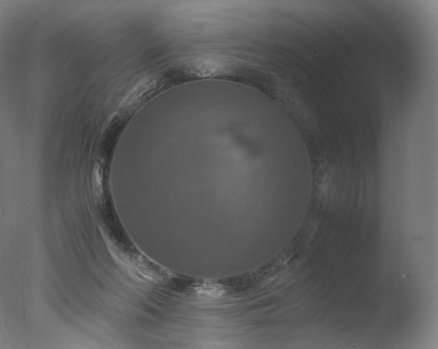 X0000077360214200610201331