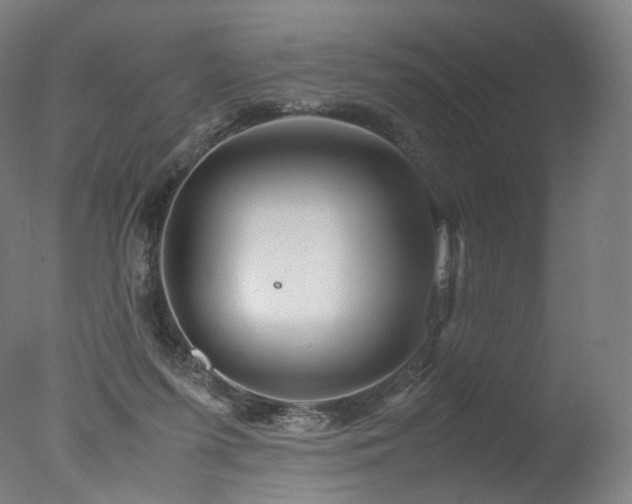 X0000077360215200610201331