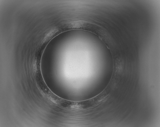 X0000077360216200610201331