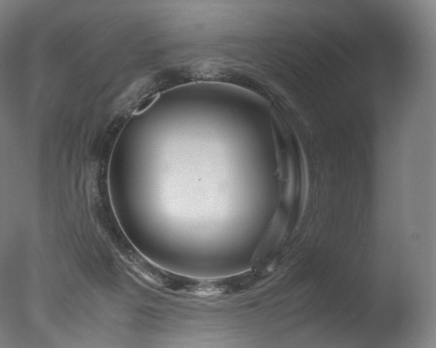 X0000077360217200610201331