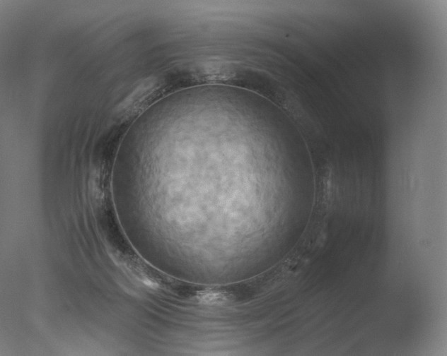 X0000077360218200610201331