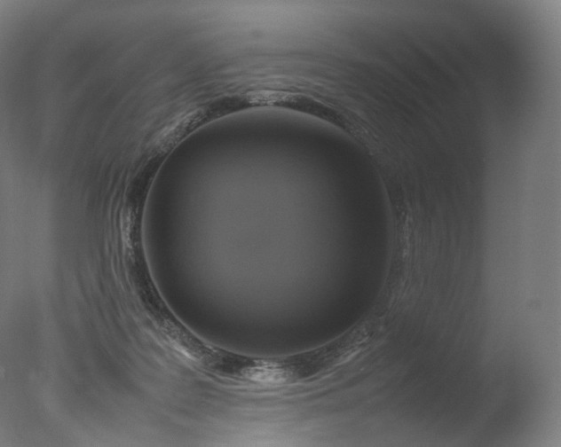 X0000077360219200610201331