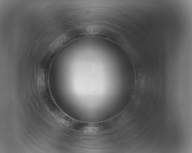 X0000077360220200610201331