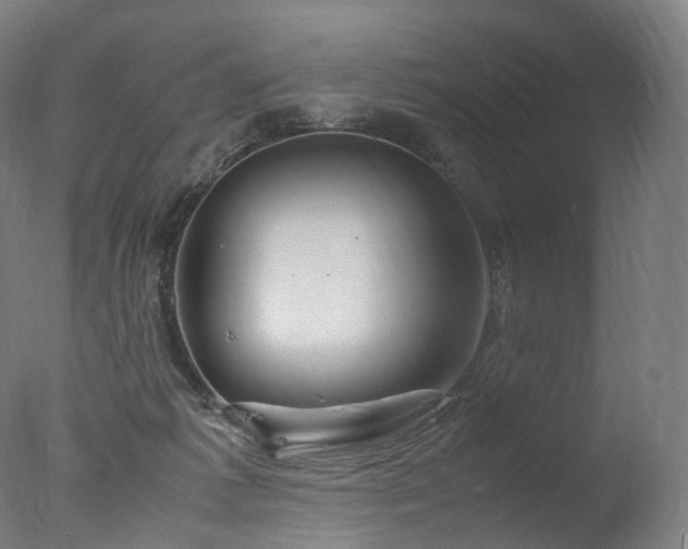 X0000077360221200610201331