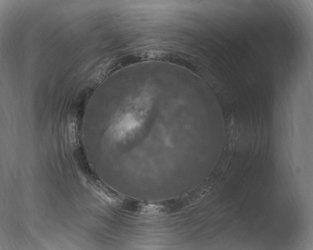 X0000077360222200610201331