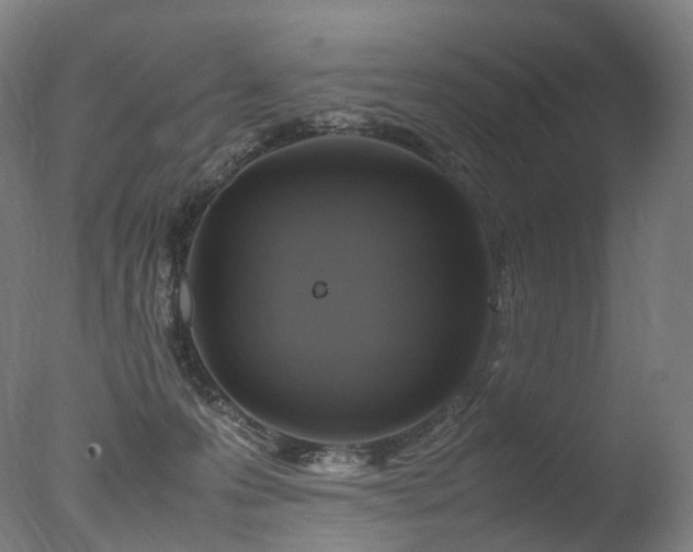 X0000077360223200610201331