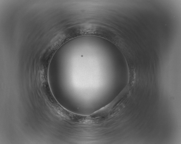 X0000077360224200610201331