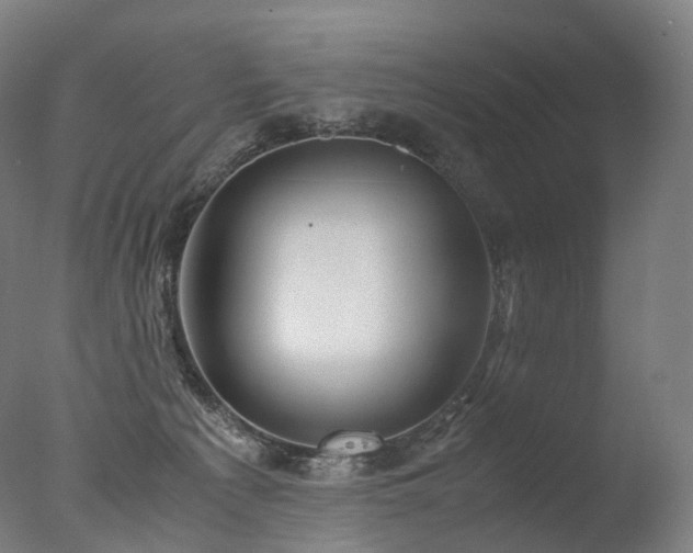 X0000077360225200610201331