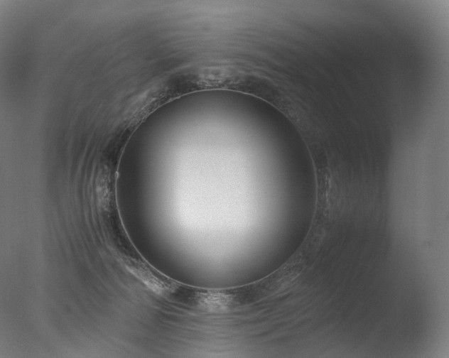 X0000077360226200610201331