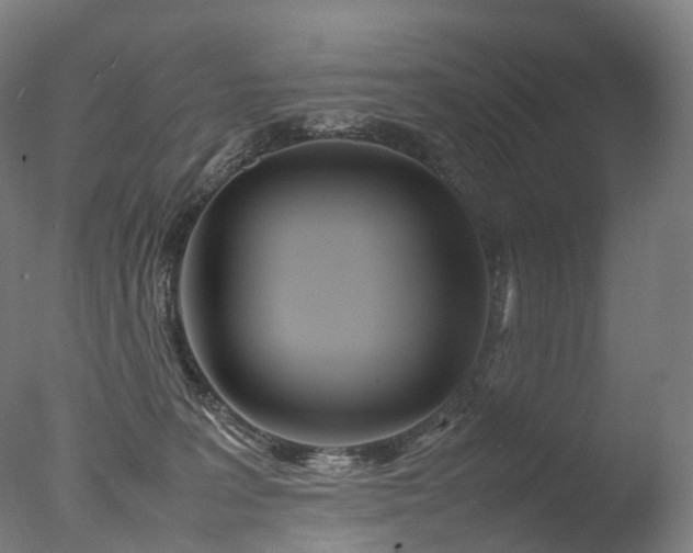 X0000077360227200610201331