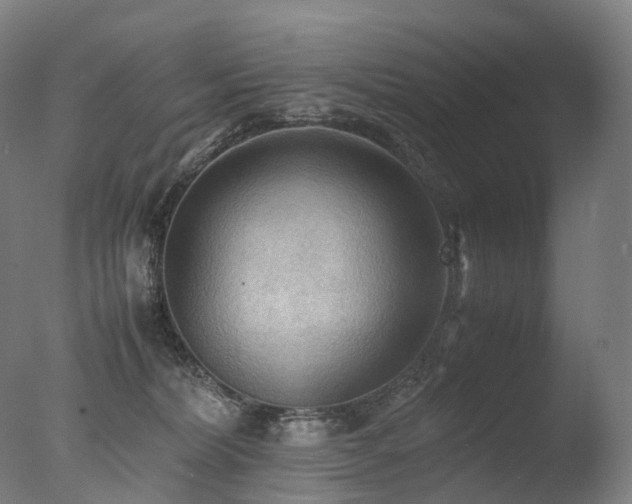 X0000077360228200610201331