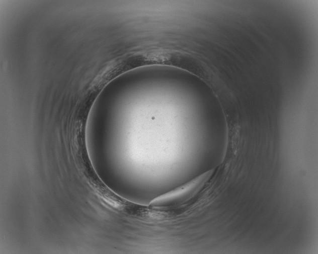 X0000077360229200610201331