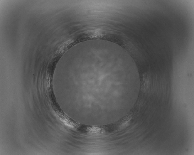 X0000077360230200610201331