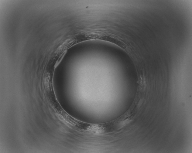 X0000077360231200610201331