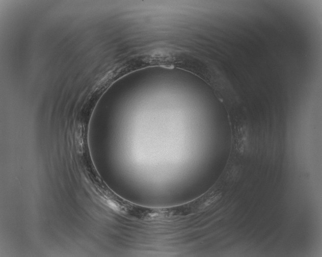 X0000077360232200610201331