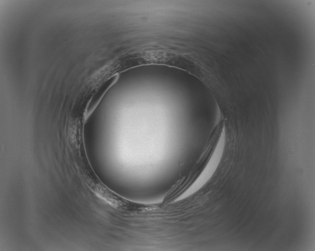 X0000077360233200610201331