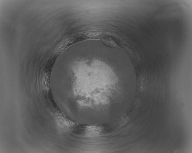 X0000077360234200610201331