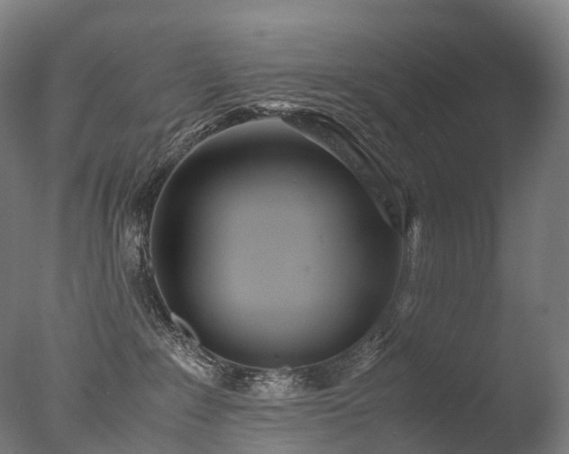 X0000077360235200610201331