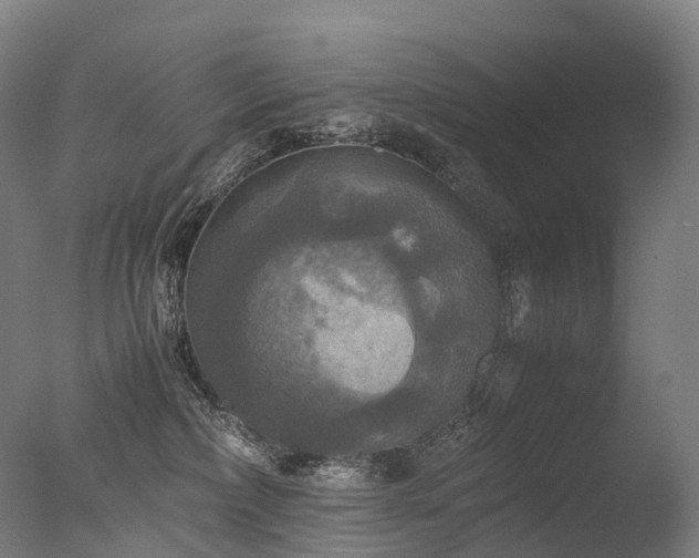 X0000077360236200610201331