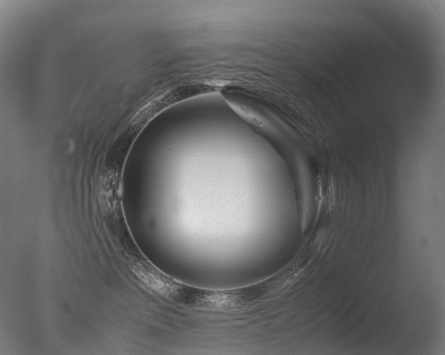 X0000077360237200610201331