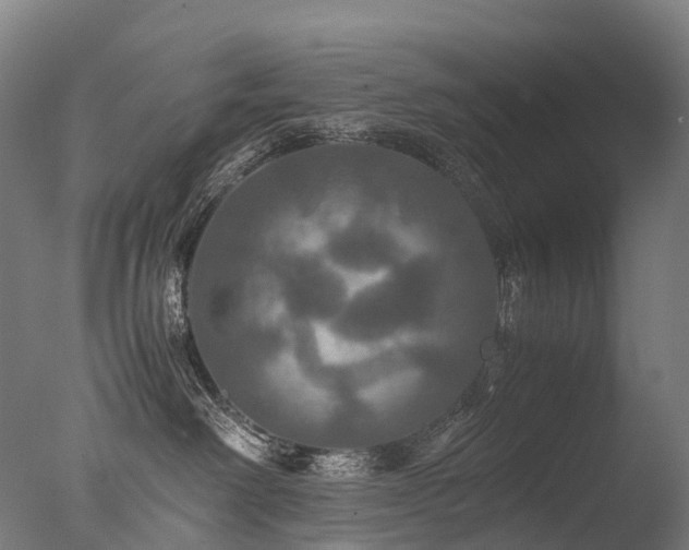 X0000077360238200610201331