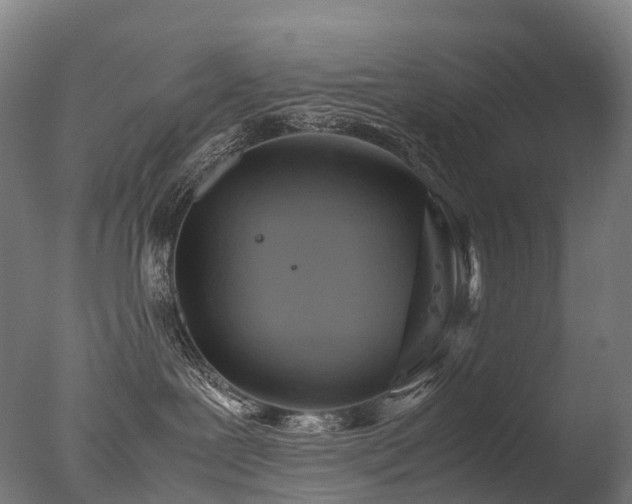 X0000077360239200610201331