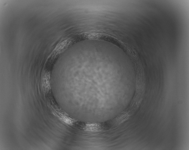 X0000077360240200610201331