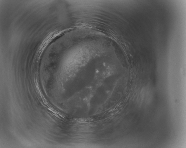 X0000077360241200610201330