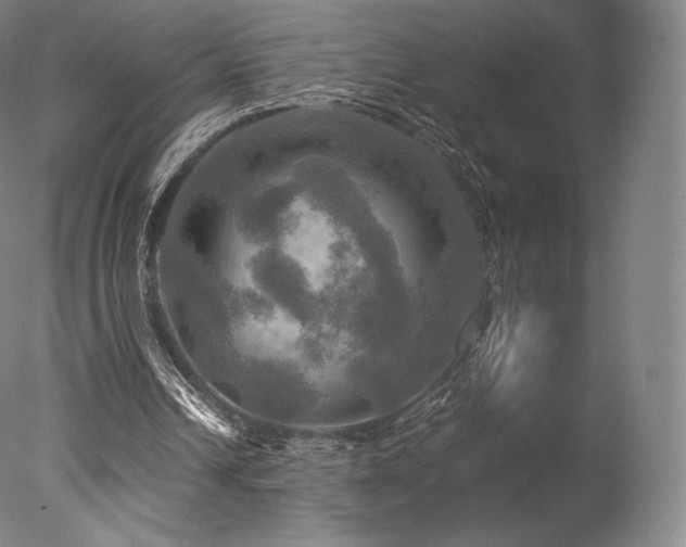 X0000077360242200610201330