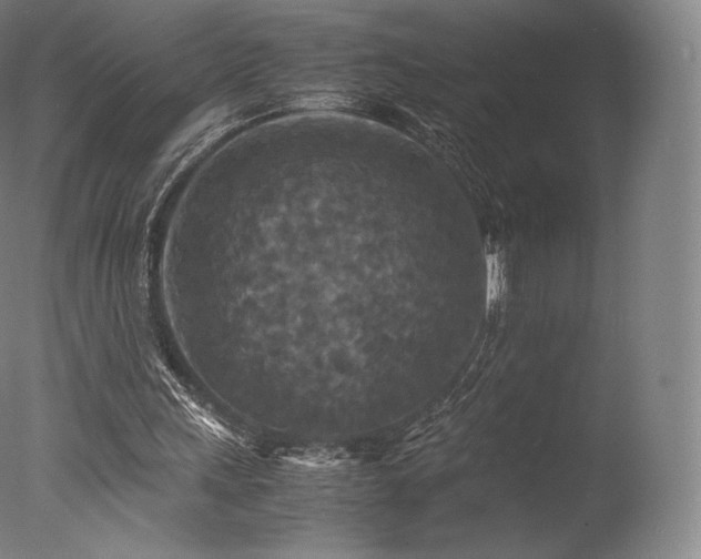 X0000077360243200610201330