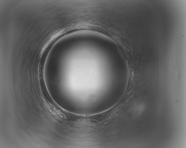 X0000077360244200610201330