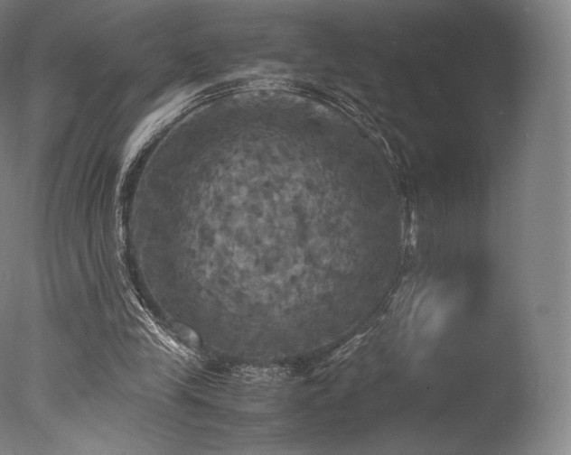 X0000077360245200610201330