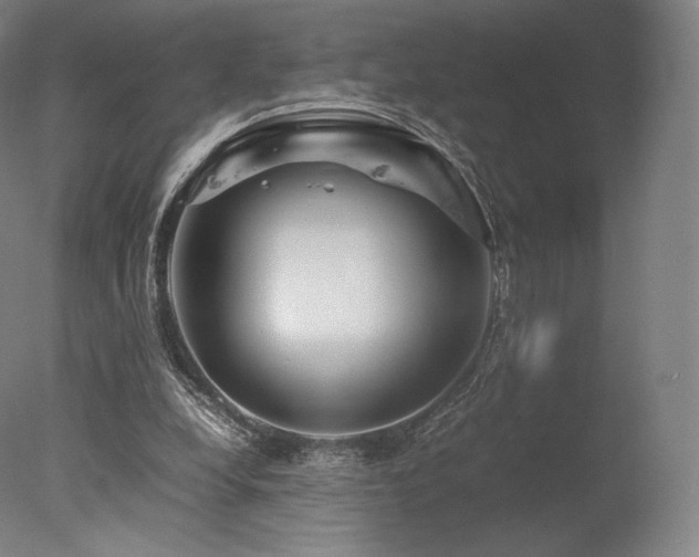 X0000077360248200610201330