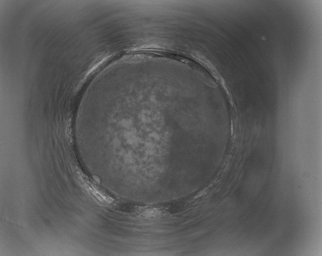 X0000077360249200610201330