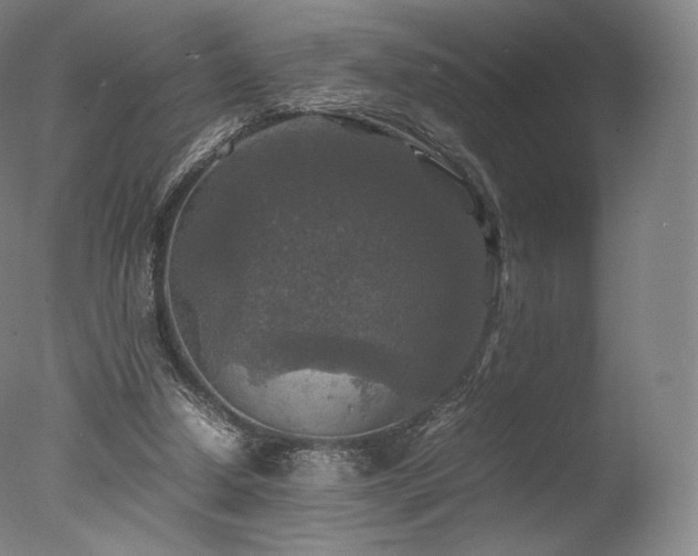 X0000077360250200610201330