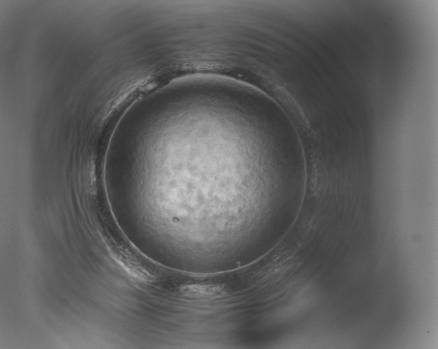 X0000077360251200610201330