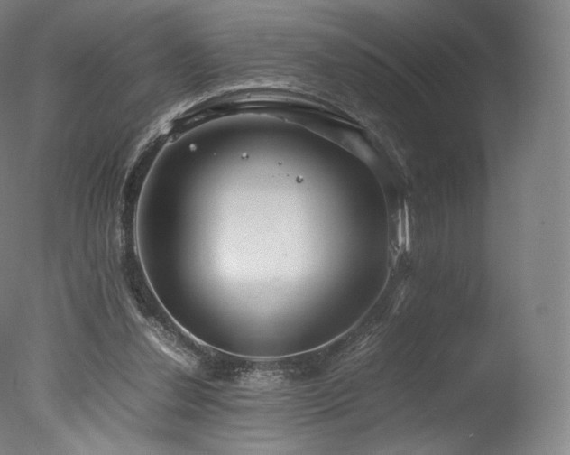 X0000077360252200610201330