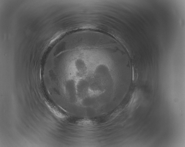 X0000077360253200610201330