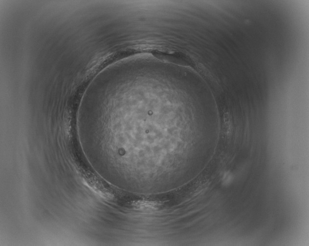 X0000077360255200610201330