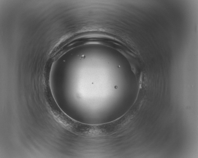 X0000077360256200610201330