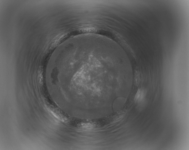 X0000077360259200610201330