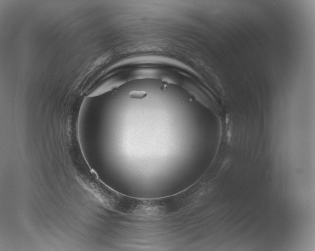 X0000077360260200610201330