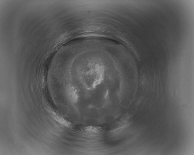 X0000077360261200610201330