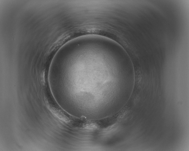 X0000077360262200610201330