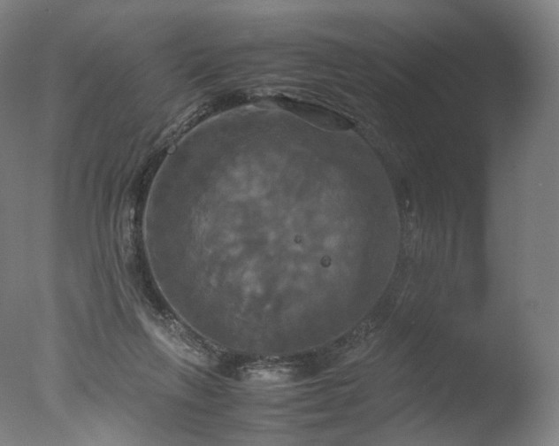 X0000077360263200610201330