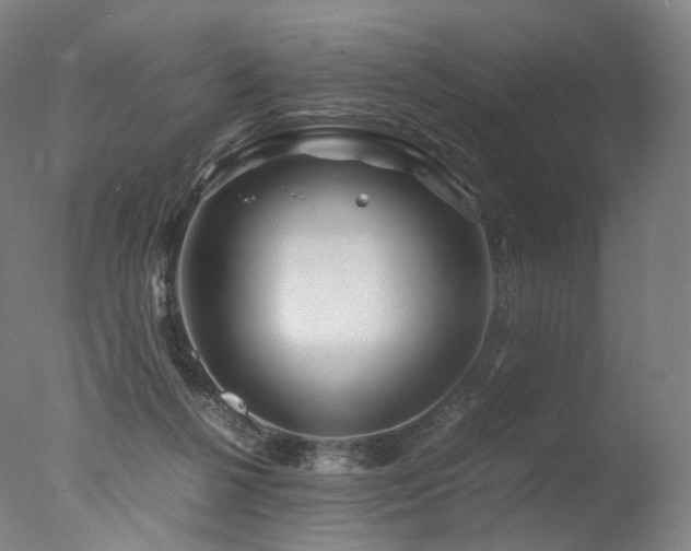 X0000077360264200610201330