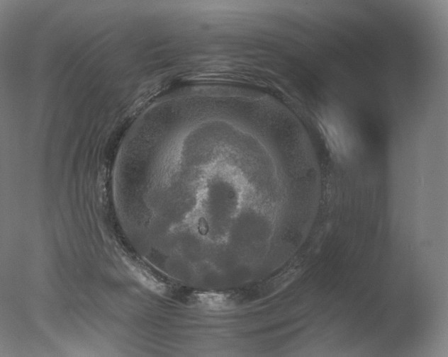 X0000077360265200610201330