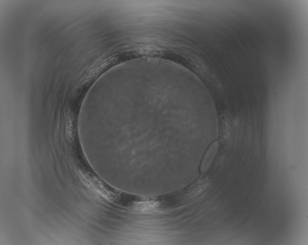 X0000077360266200610201330