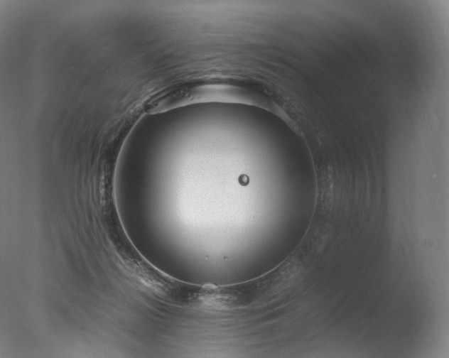 X0000077360268200610201330