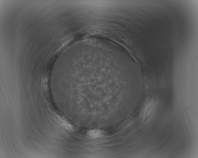 X0000077360269200610201330